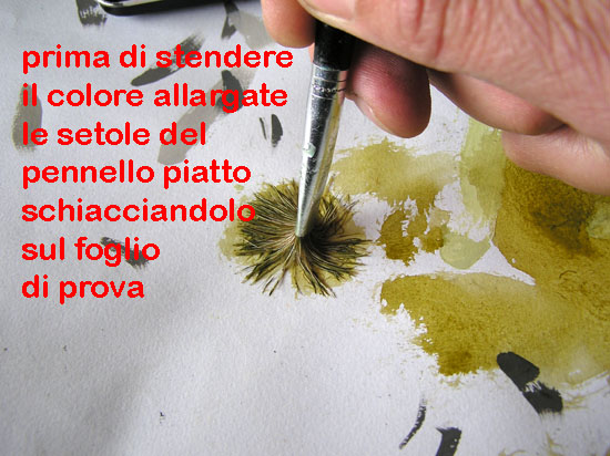 corso di disegno naturalistico 7 lezione